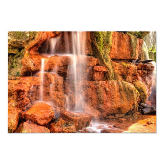 Impression Photo Printemps Jaune, Réserve naturelle Glen Helen, Ohi (Devant)