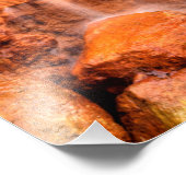 Impression Photo Printemps Jaune, Réserve naturelle Glen Helen, Ohi (Coin)