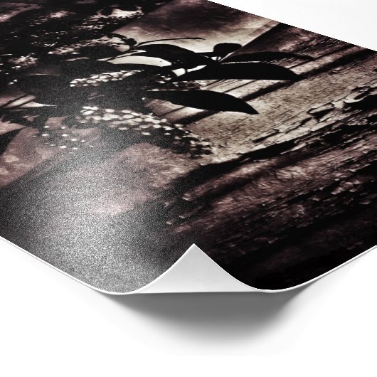 Impression Photo Printemps sombre (Coin)