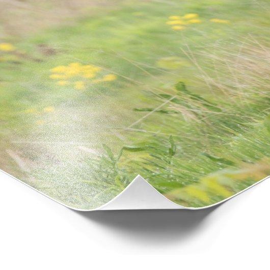 Impression Photo Printemps Turquie Imprimer - 2 (Coin)