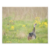 Impression Photo Printemps Turquie Imprimer - 2 (Devant)