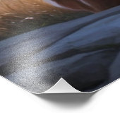 Impression Photo Prismatic Antlers (Coin)
