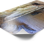 Impression Photo Prison historique, Lecompton, Kansas (Coin)