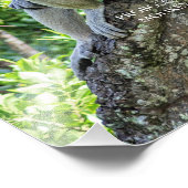 Impression Photo Proboscis singe (Coin)