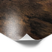 Impression Photo Profil de Buffalo (Coin)