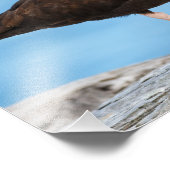 Impression Photo Profil d'un Oystercatcher noir (Coin)