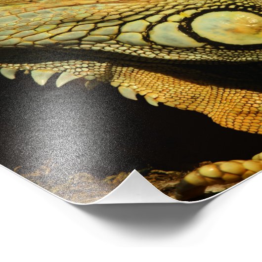 Impression Photo Profil d'une Iguana verte (Coin)