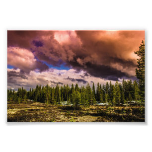 Impression Photo Profond dans les forêts du nord