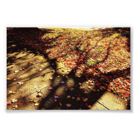 Impression Photo Promenade d'automne (Devant)