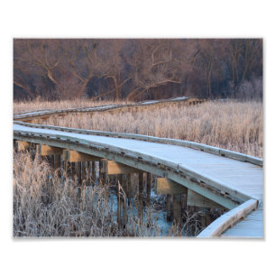 Impression Photo Promenade en bois dans les bois