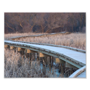 Impression Photo Promenade en planches dans les bois