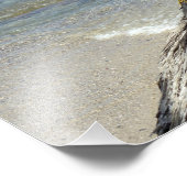 Impression Photo Puerto Vallarta Mexique-Garza Blanca (Coin)