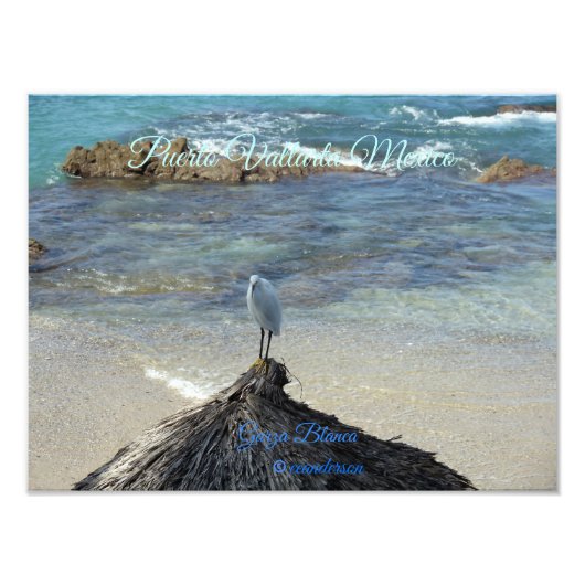 Impression Photo Puerto Vallarta Mexique-Garza Blanca (Devant)