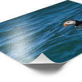 Impression Photo Puffin en mer (Coin)