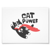 Puissance du chat - Choisissez la couleur de l'arr