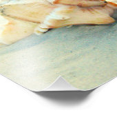 Impression Photo Puissiez-vous toujours avoir un Shell dans votre p (Coin)