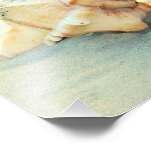 Impression Photo Puissiez-vous toujours avoir un Shell dans votre p (Coin)