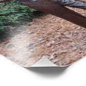 Impression Photo Pullen Park Raleigh Imprimer Andy Griffith (Coin)