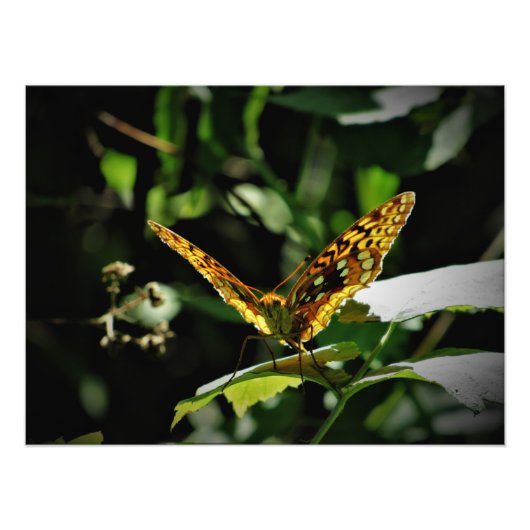 Impression Photo "Pulsing Joy" (Devant)