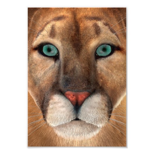 Impression Photo Puma (Devant)