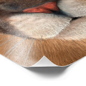 Impression Photo Puma (Coin)