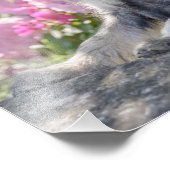 Impression Photo Puppy de Schnauzer dans un Flowering Garden - (Coin)