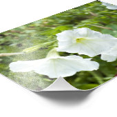 Impression Photo Pureté dans la lumière (Coin)