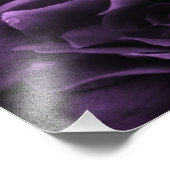 Impression Photo Purple Gros plan d'une double Begonia (Coin)