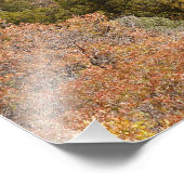 Impression Photo Purple Mountain Contrasts Colorado (Coin)