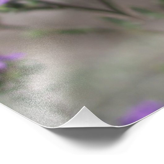 Impression Photo Purple Salt Heliotrope (Coin)