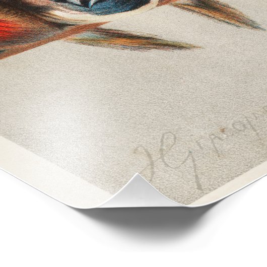 Impression Photo Quadro com grupo de pássaros (Coin)