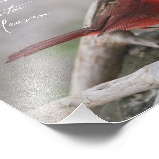 Impression Photo Quand un cardinal apparaît dans votre cour... (Coin)