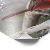 Impression Photo Quand un cardinal apparaît dans votre cour... (Coin)