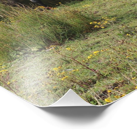 Impression Photo Quatre chevaux (Coin)