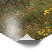 Impression Photo Quatre chevaux en bord de mer (Coin)