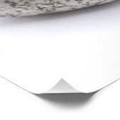 Impression Photo Quatre galets (Coin)