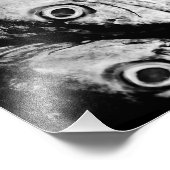 Impression Photo quatre yeux (Coin)