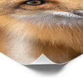 Impression Photo Quels grands yeux avez-vous (Coin)