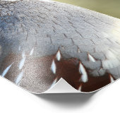 Impression Photo Queue masculine (Coin)