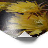 Impression Photo Quintuple de fleurs de cactus (Coin)