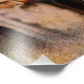 Impression Photo Rabbi Joseph Karo - Le Beit Yosef (Coin)