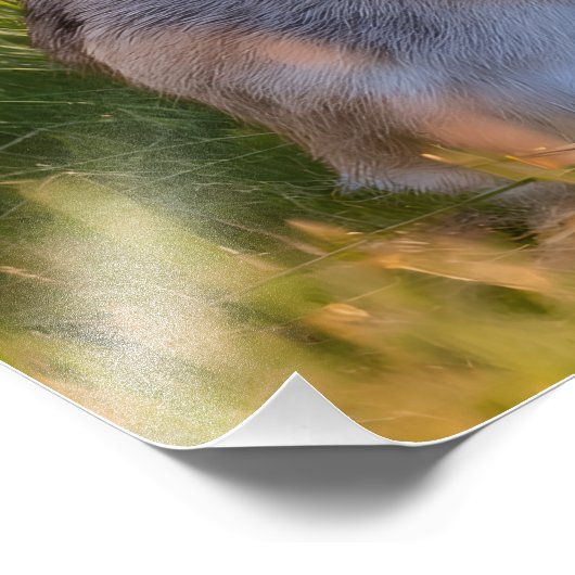 Impression Photo Rabbit (Coin)