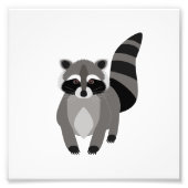 Impression Photo Raccoon Rascal (Devant)
