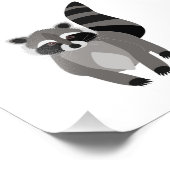 Impression Photo Raccoon Rascal (Coin)