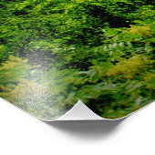 Impression Photo "Racines de Sorins" (Coin)