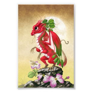 Impression Photo Radish Dragon 4x6 Print