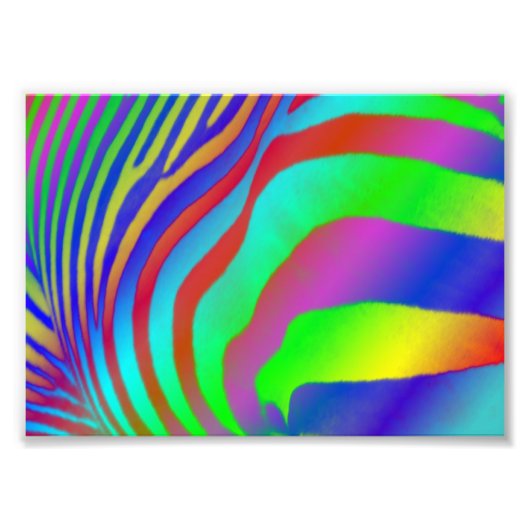 Impression Photo Rainbow Zebra (Devant)
