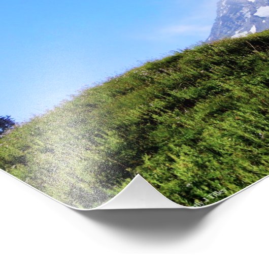 Impression Photo Rainier PDSC230 (Coin)