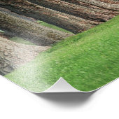 Impression Photo Rangée d'arbres, Louisville, Kentucky. (Coin)