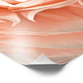 Impression Photo Ranunculus Swirl (Coin)